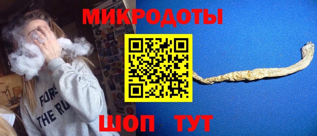 Галлюциногенные грибы мухоморы Дмитров