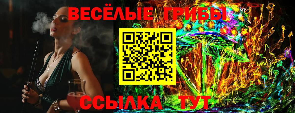 Дмитров  Псилоцибиновые грибы прущие грибы  Галлюциногенные грибы Psilocybe  Вход с VPN 